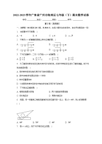 2022-2023学年广东省广州市海珠区七年级（下）期末数学试卷（含解析）