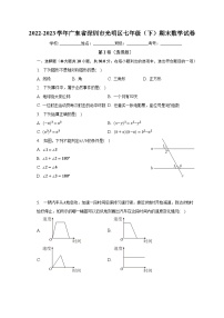 2022-2023学年广东省深圳市光明区七年级（下）期末数学试卷（含解析）