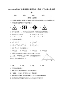 2022-2023学年广东省深圳外国语学校七年级（下）期末数学试卷（含解析）