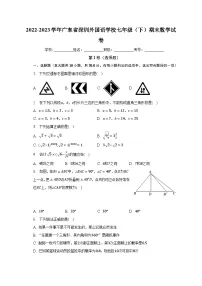 2022-2023学年广东省深圳外国语学校七年级（下）期末数学试卷（含解析）