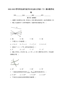 2022-2023学年河北省石家庄市正定县七年级（下）期末数学试卷（含解析）