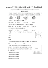 2022-2023学年河南省洛阳市洛宁县七年级（下）期末数学试卷（含解析）