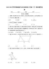 2022-2023学年河南省驻马店市泌阳县八年级（下）期末数学试卷（含解析）