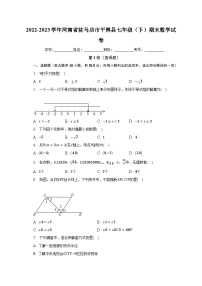 2022-2023学年河南省驻马店市平舆县七年级（下）期末数学试卷（含解析）