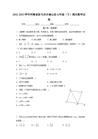 2022-2023学年河南省驻马店市确山县七年级（下）期末数学试卷（含解析）