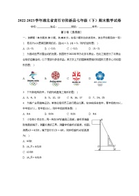 2022-2023学年湖北省黄石市阳新县七年级（下）期末数学试卷（含解析）