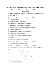 2022-2023学年江苏省南通市海安市七年级（下）期末数学试卷（含解析）