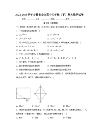 2022-2023学年安徽省安庆四中八年级（下）期末数学试卷（含解析）