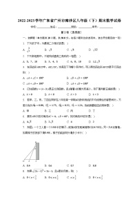 2022-2023学年广东省广州市南沙区八年级（下）期末数学试卷（含解析）