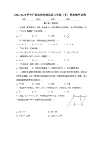 2022-2023学年广西钦州市浦北县八年级（下）期末数学试卷（含解析）