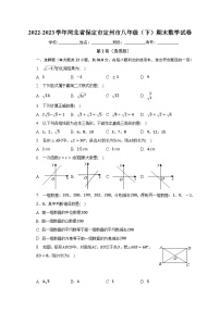 2022-2023学年河北省保定市定州市八年级（下）期末数学试卷（含解析）