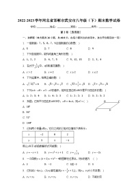 2022-2023学年河北省邯郸市武安市八年级（下）期末数学试卷（含解析）