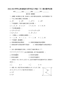 2022-2023学年山东省临沂市罗庄区八年级（下）期末数学试卷（含解析）