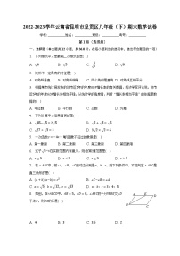 2022-2023学年云南省昆明市呈贡区八年级（下）期末数学试卷（含解析）