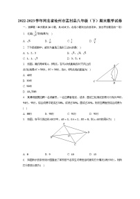 2022-2023学年河北省沧州市孟村县八年级（下）期末数学试卷（含解析）