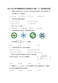 2022-2023学年湖南省怀化市通道县七年级（下）期末数学试卷（含解析） (1)