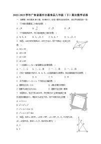 2022-2023学年广东省惠州市惠东县八年级（下）期末数学试卷（含解析）