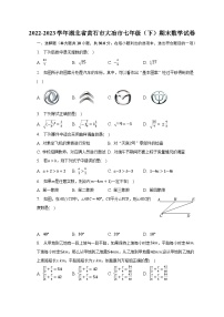 2022-2023学年湖北省黄石市大冶市七年级（下）期末数学试卷（含解析）