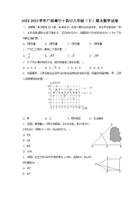 2022-2023学年广西南宁十四中八年级（下）期末数学试卷（含解析）