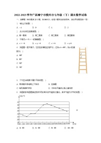 2022-2023学年广西南宁市横州市七年级（下）期末数学试卷（含解析）