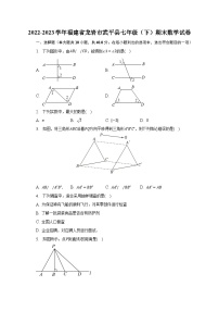 2022-2023学年福建省龙岩市武平县七年级（下）期末数学试卷（含解析）