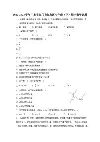 2022-2023学年广东省江门市江海区七年级（下）期末数学试卷（含解析）