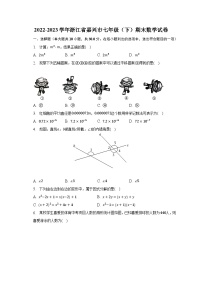 2022-2023学年浙江省嘉兴市七年级（下）期末数学试卷（含解析）