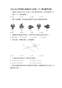 2022-2023学年浙江省嘉兴市七年级（下）期末数学试卷（含解析）