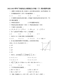2022-2023学年广东省汕头市澄海区七年级（下）期末数学试卷（含解析）