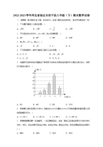 2022-2023学年河北省保定市阜平县八年级（下）期末数学试卷（含解析）