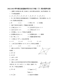 2022-2023学年湖北省恩施州利川市八年级（下）期末数学试卷（含解析）