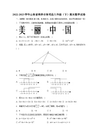 2022-2023学年山东省菏泽市东明县八年级（下）期末数学试卷（含解析）