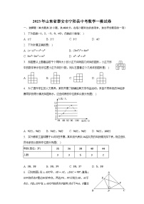 2023年山东省泰安市宁阳县中考数学一模试卷（含解析）