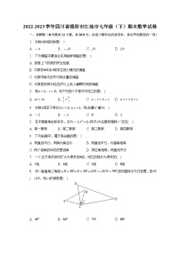 四川省绵阳市江油市2022-2023学年七年级下学期期末数学试卷（含答案）