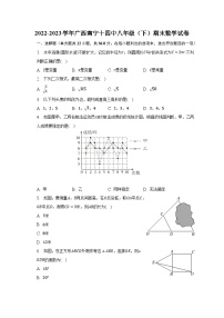 广西南宁市第十四中学2022-2023学年八年级下学期期末数学试卷（含答案）