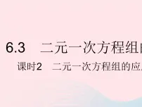 冀教版七年级下册6.3 二元一次方程组的应用课文内容ppt课件