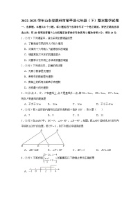 山东省滨州市邹平市2022-2023学年七年级下学期期末数学试卷（含答案）