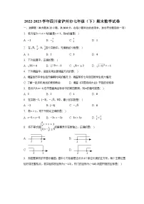2022-2023学年四川省泸州市七年级(下)期末数学试卷(含解析)