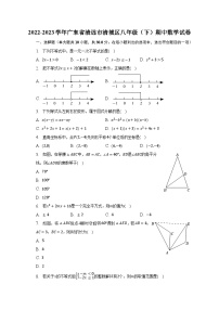 2022-2023学年广东省清远市清城区八年级（下）期中数学试卷（含解析）