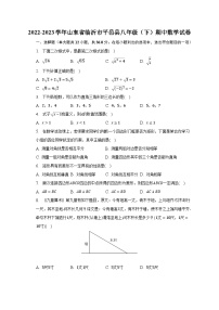 2022-2023学年山东省临沂市平邑县八年级（下）期中数学试卷（含解析）