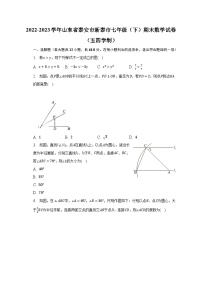 2022-2023学年山东省泰安市新泰市七年级（下）期末数学试卷（五四学制）（含解析）