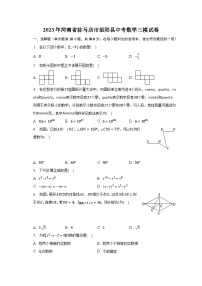 2023年河南省驻马店市泌阳县中考数学三模试卷（含解析）