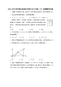 2022-2023学年湖北省黄冈市武穴市九年级（下）抽测数学试卷（含解析）