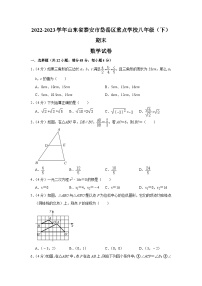 山东省泰安市岱岳区重点学校2022-2023学年八年级下学期期末数学试卷（含答案）