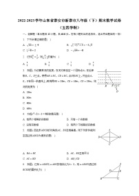 2022-2023学年山东省泰安市新泰市八年级（下）期末数学试卷（五四学制）（含解析）