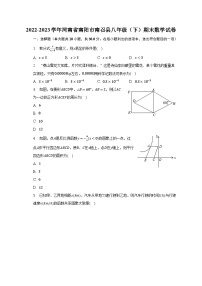 2022-2023学年河南省南阳市南召县八年级（下）期末数学试卷（含解析）