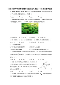 2022-2023学年河南省南阳市镇平县八年级（下）期末数学试卷（含解析）