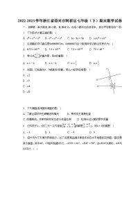 2022-2023学年浙江省绍兴市柯桥区七年级（下）期末数学试卷（含解析）