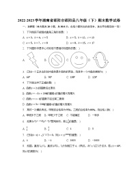 2022-2023学年湖南省邵阳市邵阳县八年级（下）期末数学试卷（含解析）