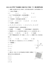 2022-2023学年广东省湛江市经开区八年级（下）期末数学试卷（含解析）